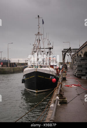 Marelann chalutier BF201 dans le port de Pittenweem Fife par Fish Market Banque D'Images