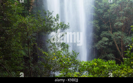 National inférieur tombe dans Royal National Park, NSW, Australie Banque D'Images