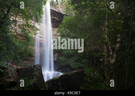 National inférieur tombe dans Royal National Park, NSW, Australie Banque D'Images