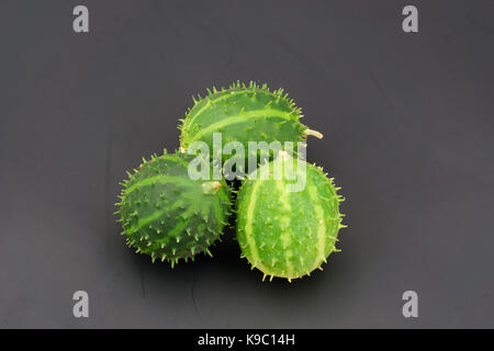 Trois citrouilles fraîches ressemblent à des mini-watermelone Banque D'Images