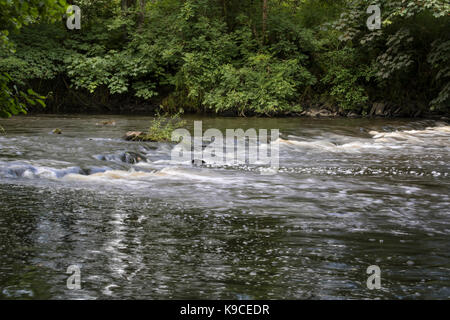 Les rapides de la rivière Torridge - de l'eau en été. près de beaford, North Devon, Angleterre. Banque D'Images