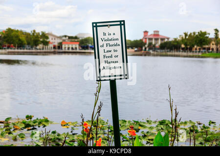 Panneau d'avertissement concernant le harcèlement d'alligators et une violation du droit fédéral, la célébration, Orlando, Floride, USA Banque D'Images