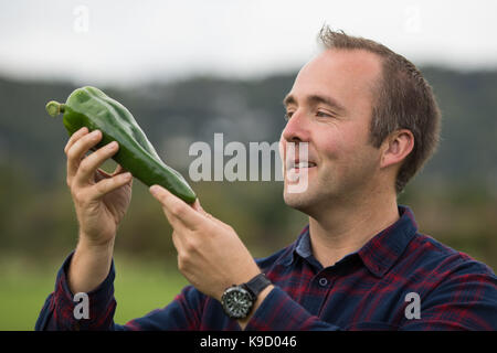 Kevin forte tient son piment poblano pesant 0.348kg, au cours de l'aperçu de la presse pour le canna géant championnat national britannique des légumes à l'automne de Malvern worcestershire, montrer. Banque D'Images