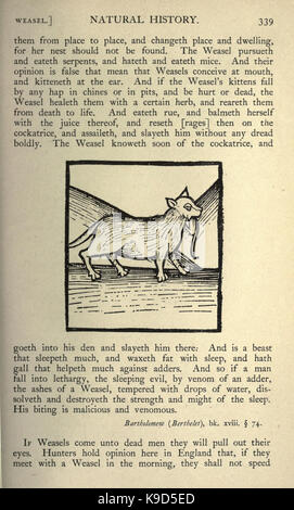 L'histoire naturelle, à l'époque de Shakespeare (page 339, fig. 45) BHL19132186 Banque D'Images