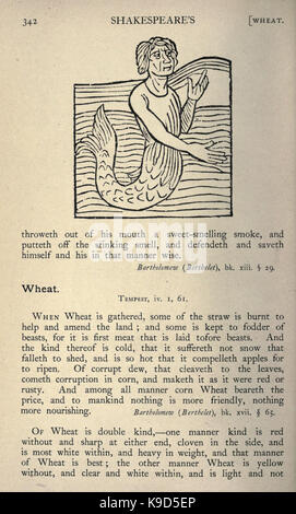 L'histoire naturelle, à l'époque de Shakespeare (page 342, fig. 47) BHL19132189 Banque D'Images