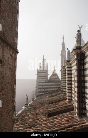 L'Italie, siena - 26 décembre 2016 : le point de vue de la toiture de tuiles, fenêtres cintrées et statues de marbre sur Duomo di Siena le 26 décembre 2016 à Sienne, Toscane Banque D'Images