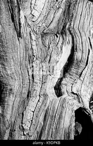 Dunham Massey, Altrincham, Cheshire Banque D'Images