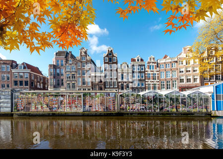 Saison d'automne à Amsterdam street antiques bâtiments colorés traditionnels néerlandais et marché aux fleurs sur le canal unique à Amsterdam, Pays-Bas. Banque D'Images