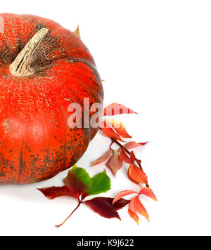 Citrouille mûr rouge et multicolore raisins d'automne feuilles. isolé sur fond blanc. Banque D'Images