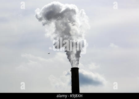 L'émission de fumée de cheminée d'usine Banque D'Images