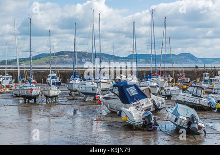 Lyme Regis, ville côtière dans le Dorset au sud de l'Angleterre, montrant le port plein de bateaux amarrés à marée basse Banque D'Images