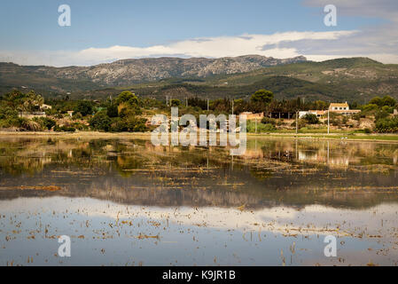 Delta del Ebro, Espagne Banque D'Images