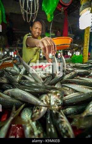 Un homme vend du poisson frais au marché traditionnel à Puerto Princesa, Palawan, Philippines. Banque D'Images