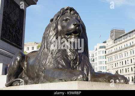 Lion à base de Nelsons column Banque D'Images