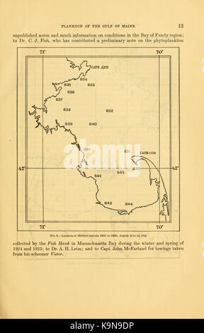 Le plancton des eaux au large du golfe du Maine BHL3339459 Banque D'Images