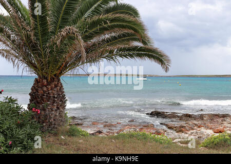 Les appartements du resort Punta Prima dans la méditerranée avec palmier Banque D'Images