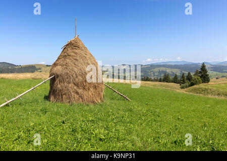 Pile de foin sur une prairie de montagne sur une colline. magnifique paysage de campagne montagneuse sur une journée ensoleillée. carpates ukraine Banque D'Images