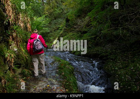 Femme en rouge la marche à travers la gorge de Lydford Gorge de lydford lyd rivière Devon, Angleterre Banque D'Images