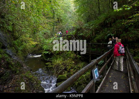 Lyd river gorge de lydford b-3660 Devon, Angleterre Banque D'Images