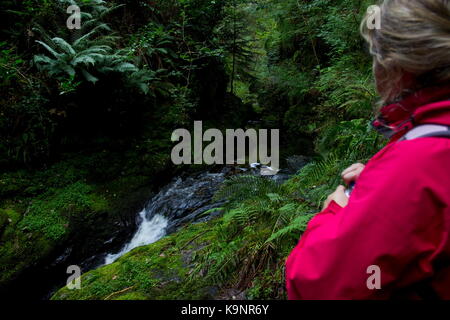 Femme en rouge la marche à travers la gorge de Lydford Gorge de lydford lyd rivière Devon, Angleterre Banque D'Images