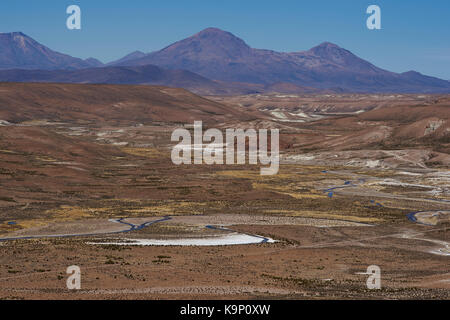 Large vallée de la rivière lauca haut sur l'Altiplano du nord du Chili, dans le parc national de Lauca. Banque D'Images