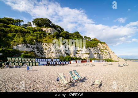 De chaises longues sur la plage à bord de la bière, l'anglais, ville côtière de la côte est du Devon, England, UK Banque D'Images
