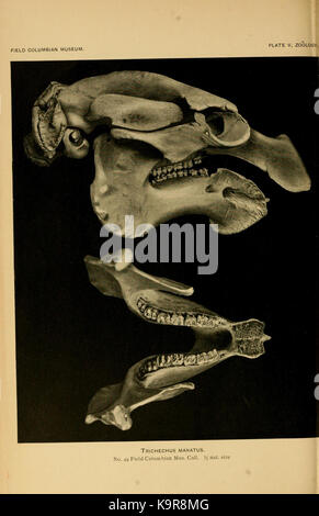 Ce titre fait référence à une publication mettant en vedette la planche V, qui peut faire partie d’une série ou d’une illustration spécifique incluse dans l’œuvre. C’est une représentation ou une interprétation artistique capturée dans la série. Banque D'Images