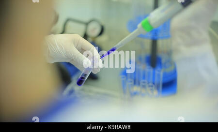 Tubes à essai libre. équipement médical. close-up avec des un scientifique à l'aide d'un micro-aspirateur en laboratoire. technicien de laboratoire, l'injection de liquide dans une plaque de microtitration. tubes à essai. faible profondeur de champ. Banque D'Images