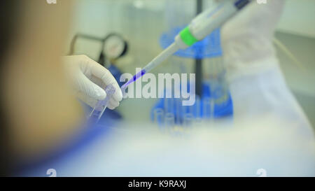 Tubes à essai libre. équipement médical. close-up avec des un scientifique à l'aide d'un micro-aspirateur en laboratoire. technicien de laboratoire, l'injection de liquide dans une plaque de microtitration. tubes à essai. faible profondeur de champ. Banque D'Images