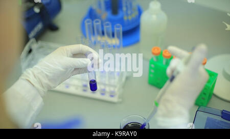 Tubes à essai libre. équipement médical. close-up avec des un scientifique à l'aide d'un micro-aspirateur en laboratoire. technicien de laboratoire, l'injection de liquide dans une plaque de microtitration. tubes à essai. faible profondeur de champ. Banque D'Images