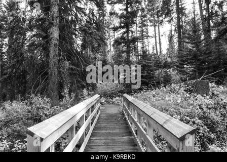 Pont à la MT Garnet gold mines Banque D'Images