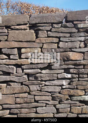 Détail de mur en pierre sèche au Pays de Galles faits de vieux grès rouge Banque D'Images