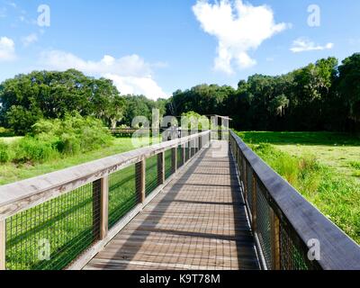 Distance à pied, les visiteurs vers le bas marais promenade en bois avec des chênes vivent, parc d'état de Paynes Prairie Preserve, Gainesville, Floride, USA. Banque D'Images