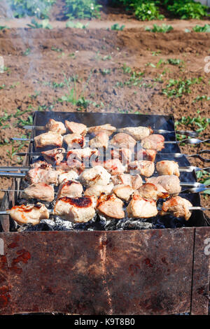 Un assortiment de viandes de poulet et de porc et légumes variés cuits sur le gril du barbecue pour l'été le dîner de famille Banque D'Images