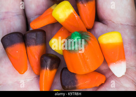 Photo gros plan horizontal de l'automne mixte candy dans une main Banque D'Images