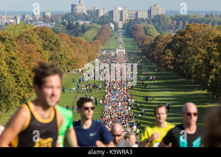 Windsor, Royaume-Uni. 24 septembre, 2017. autour de 6 000 coureurs prennent part à la Meridian windsor le demi-marathon à l'automne 2017 soleil sur la longue promenade à Windsor Great Park. surnommé le plus pittoresque du demi-marathon, son parcours inclut des forêts anciennes, des pelouses et un certain nombre de sections accidentées. crédit : mark kerrison/Alamy live news Banque D'Images