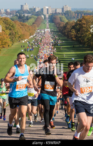 Windsor, Royaume-Uni. 24 septembre, 2017. autour de 6 000 coureurs prennent part à la Meridian windsor le demi-marathon à l'automne 2017 soleil sur la longue promenade à Windsor Great Park. surnommé le plus pittoresque du demi-marathon, son parcours inclut des forêts anciennes, des pelouses et un certain nombre de sections accidentées. crédit : mark kerrison/Alamy live news Banque D'Images