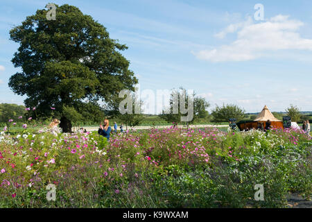 Daylesford, Kingham, UK, 23 septembre 2017. Le Festival des récoltes à Daylesford Organic Farmshop dans les Cotswolds, Royaume-Uni. Les produits biologiques, les légumes et les fruits, des foyers d'agneau rôti, le porc et le poulet, les animaux de ferme à regarder et les personnes bénéficiant de la nourriture et des démos de cuisine. Credit : Flo Smith/Alamy Live News Banque D'Images