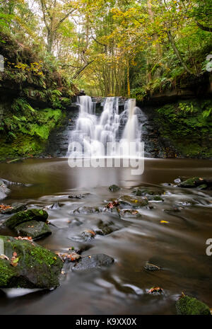 Belle journée d'automne à waterfallnear stock goit bingley dans le West Yorkshire Banque D'Images