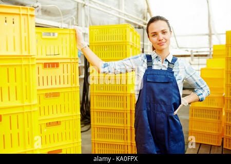 Farmer in greenhouse Banque D'Images