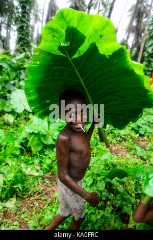 Enfant avec grande feuille comme parapluie dans le village d'rangsuksuk, île de la pentecôte, Vanuatu, mer du Sud, Océanie Banque D'Images