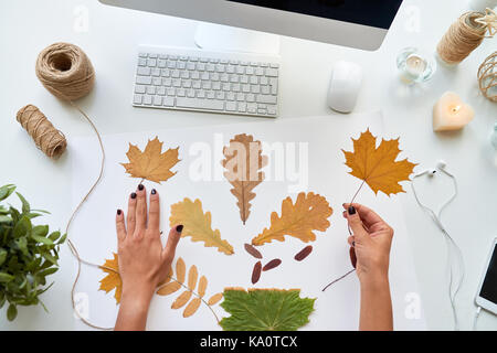 Vue de dessus de mains tenant des feuilles de l'automne sur un bureau moderne tout en choisissant le modèle pour la décoration design Banque D'Images