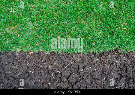 Bordure de gazon herbe dense se terminant à la terre fertile sombre. Banque D'Images