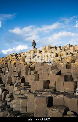 Le Giant's Causeway dans le comté d'Antrim, en Irlande du Nord Banque D'Images