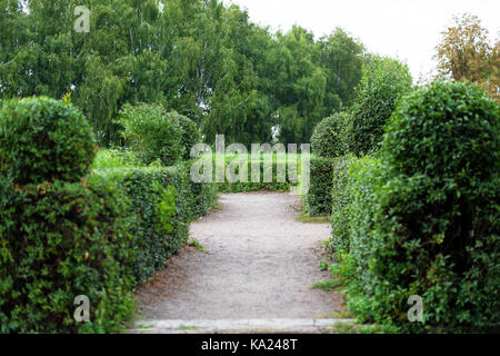 Parc avec des arbustes et des pelouses vertes, la conception de paysage. topiary, décoration verte dans le parc. Banque D'Images