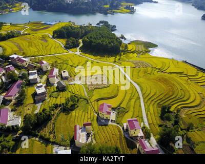 Qiandongnan. 24 sep, 2017. photo aérienne prise à sept. 24, 2017 montre les champs de paddy en ville de yashui huishui, comté du sud-ouest de la Chine. de la province du Guizhou, comme l'automne venu, Guizhou Province va entrer dans sa période de récolte de riz. crédit : zhang hui/Xinhua/Alamy live news Banque D'Images