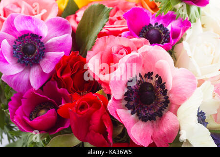 Fleurs sur fond de pierre d'anémones Banque D'Images