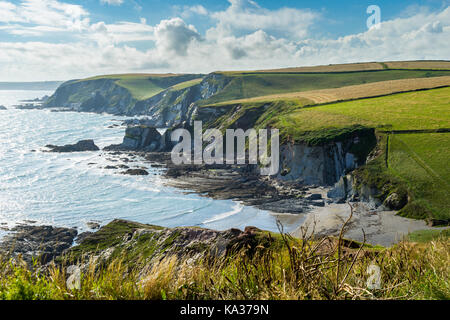 Donnant sur la côte sauvage à ayrmer Cove près de Devon, Angleterre challaborough uk Banque D'Images
