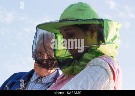 Femme s'occupe de l'apiculteur les abeilles dans la ruche avec des cadres supérieurs du mentor de l'apiculteur Banque D'Images