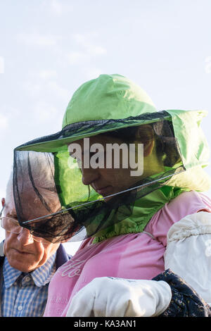 Femme s'occupe de l'apiculteur les abeilles dans la ruche avec des cadres supérieurs du mentor de l'apiculteur Banque D'Images